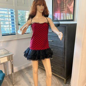 Reversable Bee/Lady bug Halloween costume
